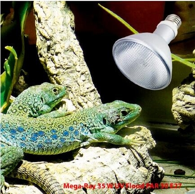 FTL Full Spectrum Reptile HID Lamp 35W 6500k UVB Bulb 6000K Daylight Alert CE/ROHS gecertificeerd