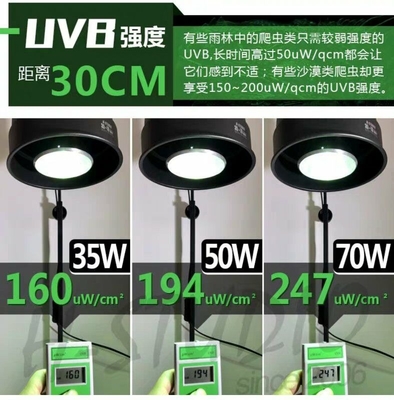 35W Reptiel UVB PAR E27 Aluminium HID Lamp 6000K Daglicht Alert Voor Terrarium